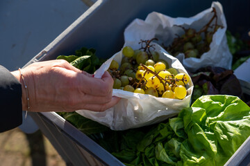 foodsharing-and-containern-in-germany