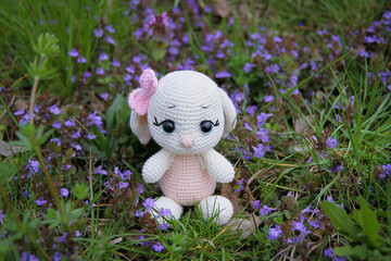 easter bunny on grass