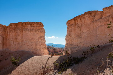 Panoramic Fairyland hiking trail with scenic view on massive hoodoo wall sandstone rock formation in Bryce Canyon National Park, Utah, USA. Pine trees along the way. Unique nature in barren landscape