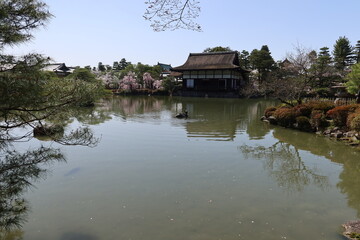 Naklejka premium A scene of Shobi-kan Hall for special guests and Seiho-ike Pond and Higashi-shin-en Japanese Garden in the precincts of Heian-jingu Shrine in Kyoto City in Japan 日本の京都市の平安神宮境内にある 東神苑と栖鳳池と尚美館の風景