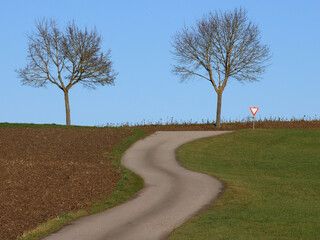 Schmale, s-förmige Straße durch die Natur