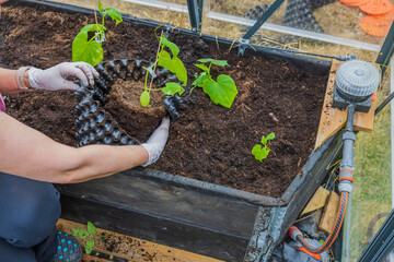 Fototapety na wymiar - Fototapeta24.pl