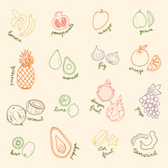 Juicy and Colorful: A Set of Hand-Drawn Tropical Fruit Illustrations, with Names