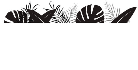 
Tropical background with black palm leaves with space for dough