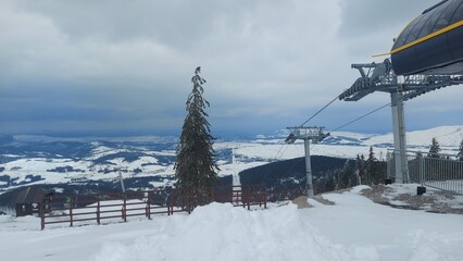 Obraz premium Tornik Zlatibor