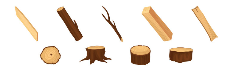Wooden Material with Log, Plank, Stump and Cross Section Vector Set