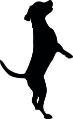 Vector perro parado en dos patas © fabiotelph