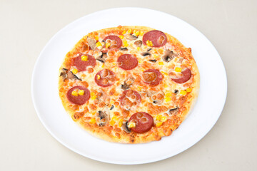 Delicious mixed pizza with rich content. Menu concept of choice and diversity. Karisik pizza