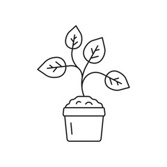 Plant vector linear icon. Houseplant flat sign design. Seedling nature plant symbol isolated pictogram. Plant UX UI icon symbol outline sign 