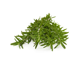 Sprig of green rosemary.