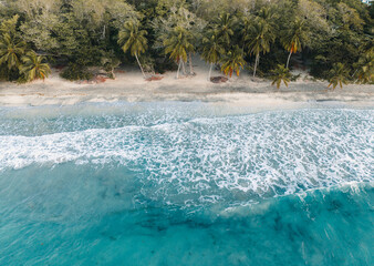 Aerial top drone view on sand beach,palm tree and ocean on the caribbean island of Martinique,...
