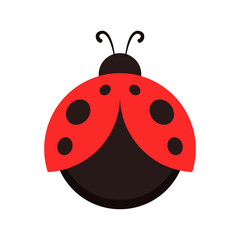 Ladybug vector. ladybug on white background. wallpaper. symbol.