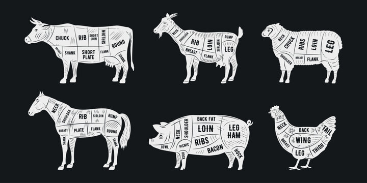 Butcher diagrams. Lamb, Pork, Goat, Chicken, Horse, Cow meat cuts. Cuts of meat set for butchery, meat shop, restaurant, grocery store. Vector illustration