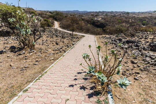 Park near the Tawi Atair Sinkhole Oman, the most famous sinkhole in the Dhofar (Dofar) governorate, one of the deepest natural sinkholes in the world