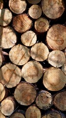 cut tree trunks wooden wallpaper wood  - obrazy, fototapety, plakaty