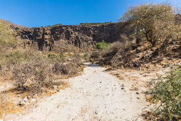 Wadi Darbat Valley, one of the most beautiful and picturesque places of nature in the Dhofar region in the Sultanate of Oman.
