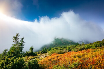 A dense cloud covered the top of the mountain on a sunny day.