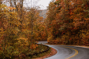 Windy Mountain Roads in Autumn
