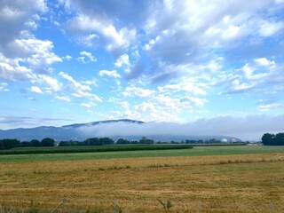 Fototapeta premium Foggy landscape