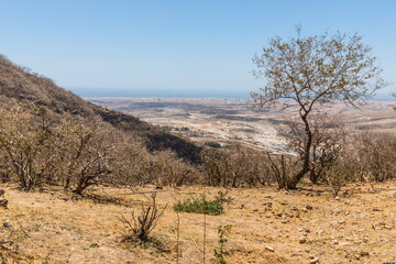 surroundings of the Wadi Darbat Valley, one the most beautiful and scenic spot with waterfalls in Dhofar Region in Sultanate of Oman