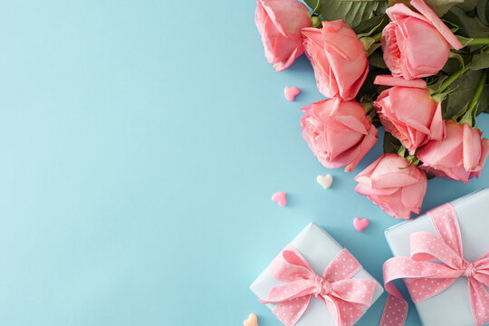Present concept for Mother's Day. Top view photo of gift boxes with bows bouquet of pink roses and small hearts baubles on pastel blue background with empty space