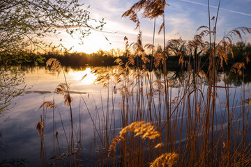 Landschaft, Sonne, See, Natur, Sonnenuntergang