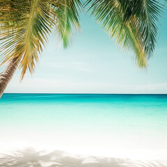 Fototapeta na wymiar background of a beach with palm trees