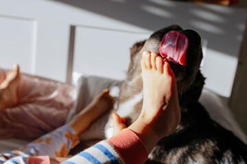 dog licking barefoot of the small children in the bed - obrazy, fototapety, plakaty