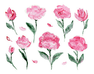 Set watercolor Flowers. Floral illustration on a white background.