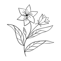 Black silhouettes of grass, flowers and herbs isolated on white background. Hand drawn sketch flowers and insects.