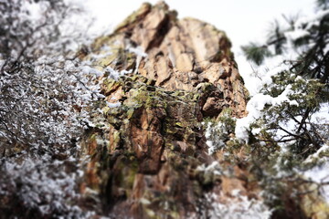 Winter forest in the mountains where beautiful scenes of snowy nature bring up emotions of gratitude and peace