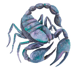 Scorpio, zodiac signs, horoscope, watercolor illustration
