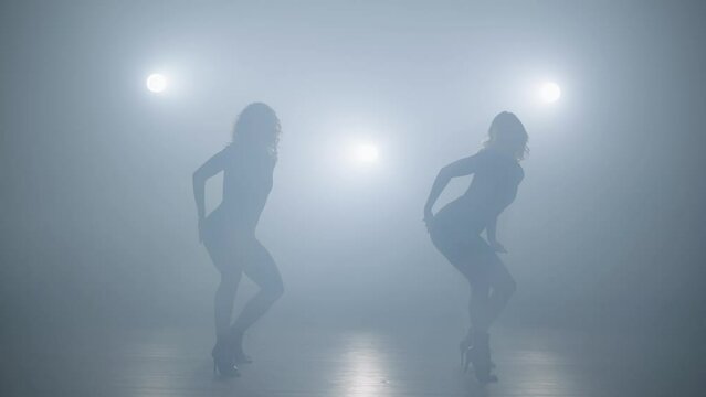 two female sulets are dancing in a beautifully lit performance. Choreography and the art of dance. Active hobby lifestyle. High heels dance. High quality 4k footage