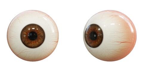Human eyeball isolated on transparent background. 3D rendering