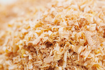 sawdust and shavings. material for agriculture. mulch 