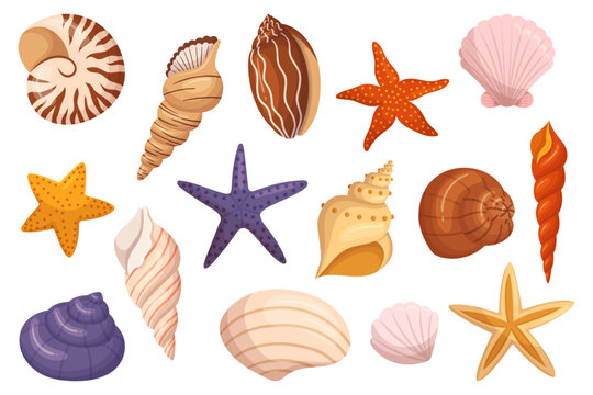 Set Of Seashells And Starfishes Icons, Perfect For Coastal Decor, Beach-themed Crafts, And Adding A Touch Of The Ocean