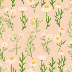 Seamless Pattern Featuring Chamomile Flowers. Background With Delicate Design Of Repeating Floral Ornament For Textiles