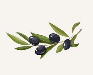 Vector illustration of the olive tree branch