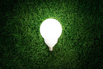 Light bulb glowing in the lawn.