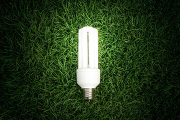 Light bulb glowing in the lawn.