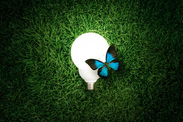 Glowing light bulb and blue butterfly in the lawn.