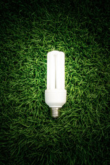 light bulb, energy, idea, lawn, electricity, environment, eco, lightbulb, electric, power, technology, green, efficient, ecology, save, saving, object, bright, light