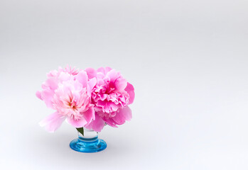 Pink peony flower in a small glass vase.