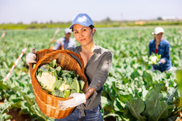 Portrait of asian woman plantation worker holding wicker basket full of cauliflowers.