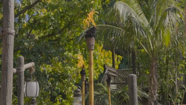 This video shows a row of tiki torches with their flames blowing in slow motion in a tropical environment. 
