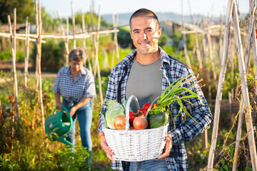 Fototapeta premium Man gardener holding basket with harvest of vegetables in garden outdoor