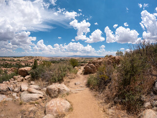 Rocky Desert Walking Path with Dry Shrubs on a Partly Cloudy Day