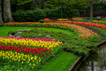 Plakat Tulip garden, Tulip Festival in Netherlands, full frame image