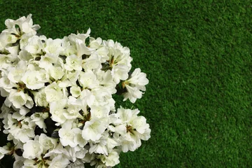 Fototapeten Azalee Beautiful azalea flowers on green grass, top view. Space for text  © New Africa