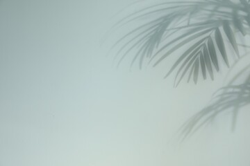 Fototapeta na wymiar Shadow of tropical plant leaves on light background, space for text